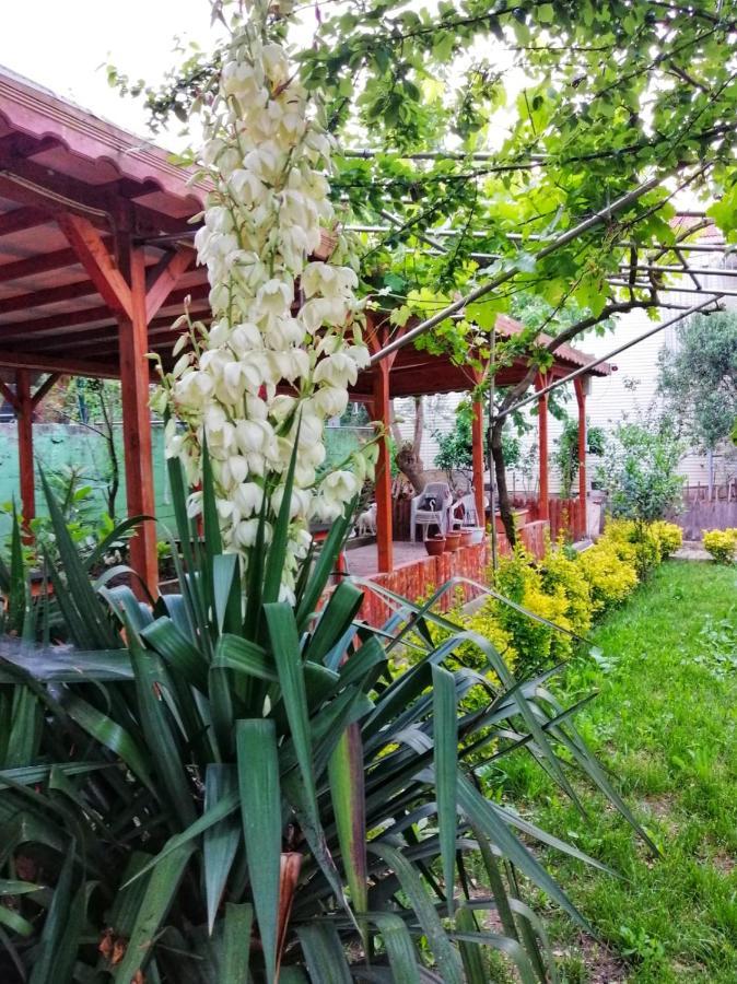 Kilic Motel Istanboel Buitenkant foto